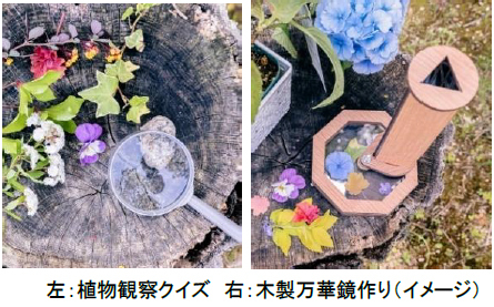 ROKKO森の音ミュージアム神戸市街地より-5度の避暑地体験「ROKKO山涼みフェス2026」開催2026年7月18日（土）～20日（月・祝）