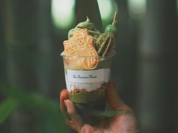 「キリンと朝食」が再開！動物園×グランピング施設『THE BAMBOO FOREST』夏限定・流しそうめん付き宿泊プランも開始