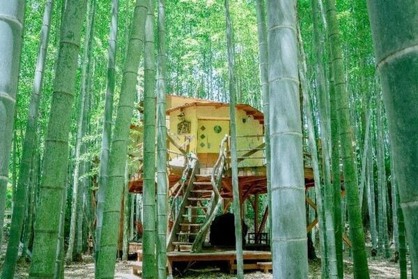 「キリンと朝食」が再開！動物園×グランピング施設『THE BAMBOO FOREST』夏限定・流しそうめん付き宿泊プランも開始