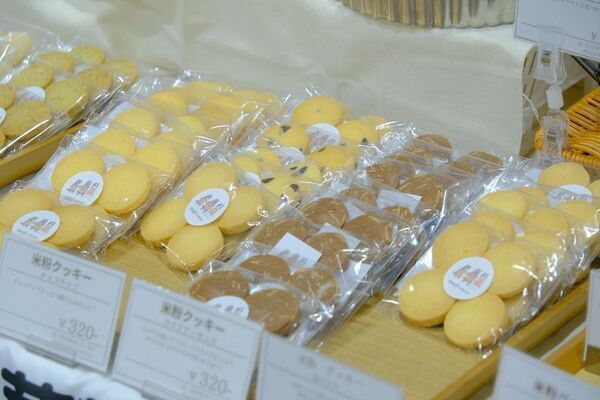 合計で約1,000ブースが出店！好奇心が刺激される特別な2日間　「神戸ハンドメイドマルシェ2026」7/18(土)・7/19(日)開催