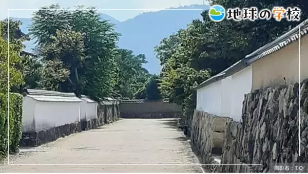 社会課題に向き合うメディア「地球の学校」の最新記事をご紹介　土砂災害に関する学び記事と、様々な視点で綴る編集室ブログ7件を新たに公開