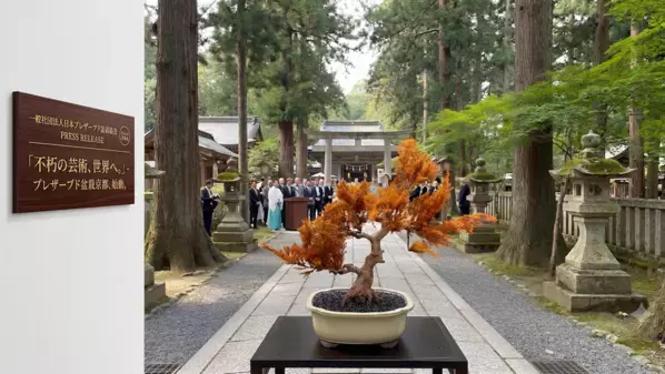 伝統の盆栽美を次世代へ　日本プレザーブド盆栽協会が始動