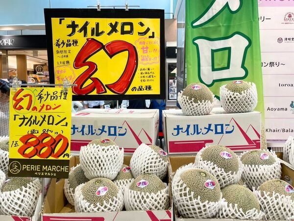 西船橋駅ナカで6/1(月)より開催『ペリエマルシェ メロン祭り』