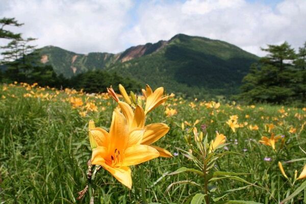 浅間山(前掛山)登山が約3年ぶりに再開　小諸から“活火山と向き合う登山体験”を発信、登山再開記念ツアーも実施