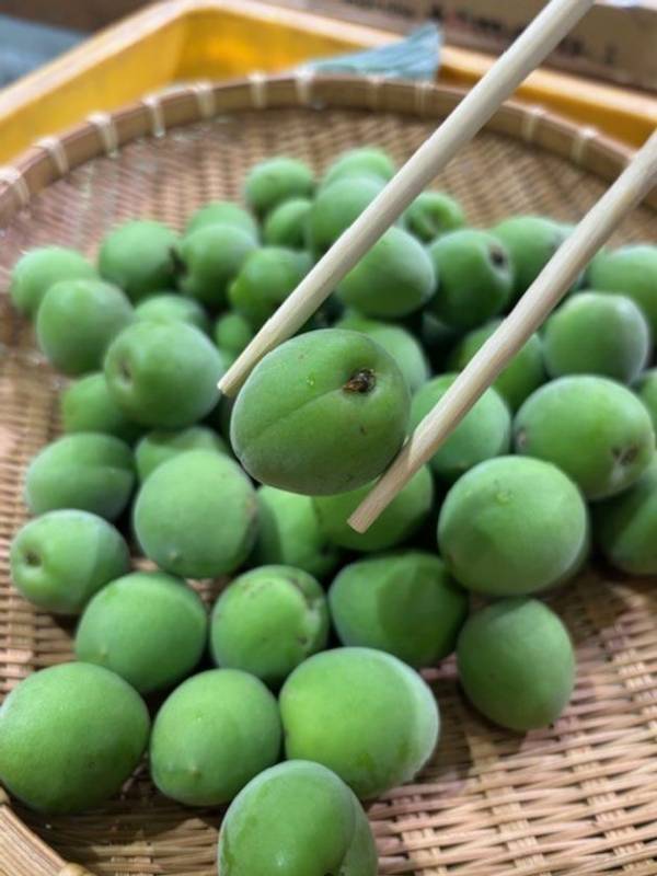 上州・村の駅が6月に「冷やしこんにゃく祭り」と毎週お野菜イベントを開催　群馬の初夏グルメと体験型イベントが集結