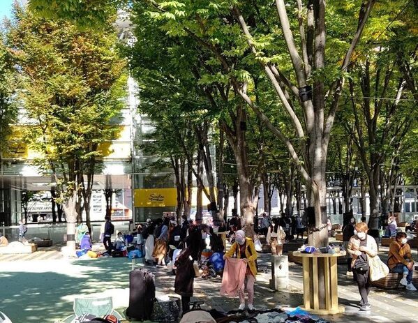 けやきひろばで「初夏のけやき彩」を6月5日(金)から開催！2か月間で10万回参加の大人気企画「タッチでクーポン」が再登場