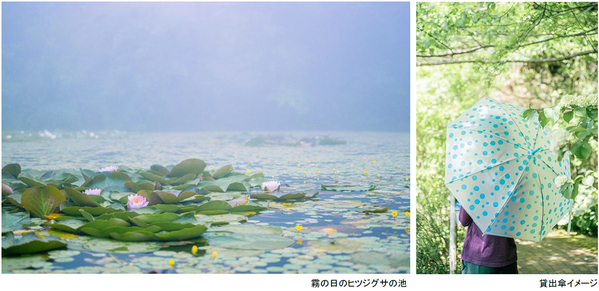 ROKKO森の音ミュージアム雨の日こそ霧が幻想的な博物館へレイニーシーズンSNSキャンペーン2026年6月1日（月）～7月17日（金）