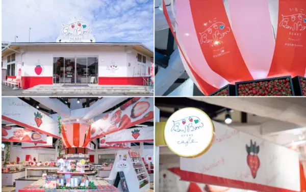 ＜いちご専門店の道の駅 いちごBonBon＞ひと粒全長約7cm！特大いちごあめを割って味わう新感覚パフェをはじめ、カフェのスイーツメニューが6月5日(金)からリニューアル！夏を爽やかに彩るいちご×レモンのバウムクーヘンも同時発売！