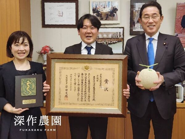 深作農園のメロンシーズン　6/6(土)メロンの日から本格スタート