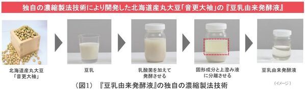 ノエビアグループ、北海道産丸大豆「音更大袖」の『豆乳由来発酵液』が免疫バランスを整えることを解明