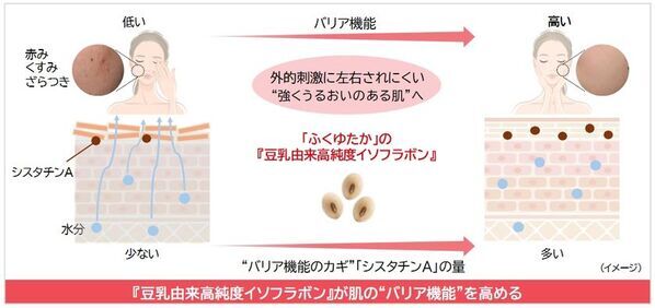 ノエビアグループ、九州産丸大豆「ふくゆたか」の『豆乳由来高純度イソフラボン』が肌のバリア機能を強化することを解明