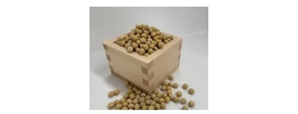 ノエビアグループ、九州産丸大豆「ふくゆたか」の『豆乳由来高純度イソフラボン』が肌のバリア機能を強化することを解明