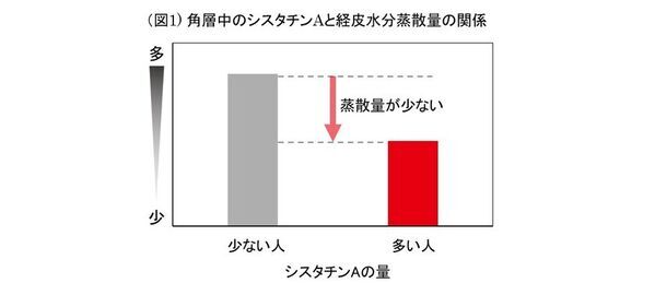 ノエビアグループ、九州産丸大豆「ふくゆたか」の『豆乳由来高純度イソフラボン』が肌のバリア機能を強化することを解明