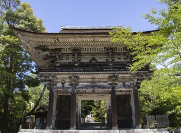 【京都山科 ホテル山楽】太秦映画村やびわ湖のミシガンクルーズ等京都・滋賀エリアの各種体験付き宿泊プランを販売開始