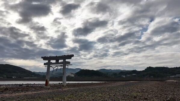 日本一の神様密度！？神社だらけの島や電柱だらけ、焼き肉店だらけなど…全国各地の“だらけ”の謎に迫る！『突撃!!だらけJAPAN　～密集にはワケがある～』6月27日(土)午後3時から日本テレビ系全国28局ネット