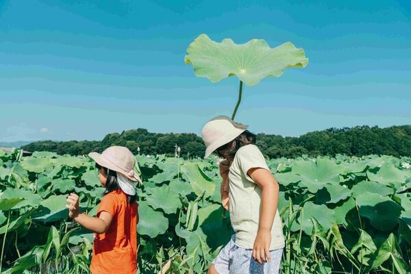 奈良県明日香村で特別な夏休みを！24種類の子ども向け体験プログラムで自然と文化を満喫する「あすかのサマバケ」7/18～8/31に開催決定