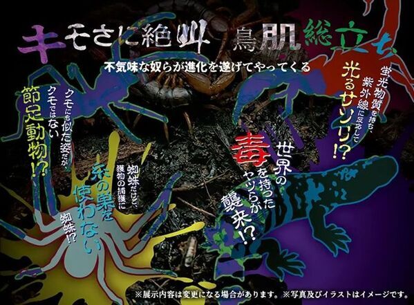 世界の“キモい生き物”が東京ソラマチに帰ってきた！『キモい展2026』7月5日(日)まで好評開催中！！