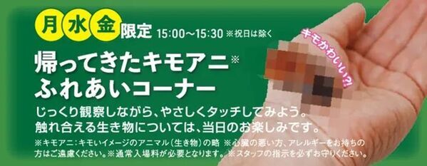 世界の“キモい生き物”が東京ソラマチに帰ってきた！『キモい展2026』7月5日(日)まで好評開催中！！