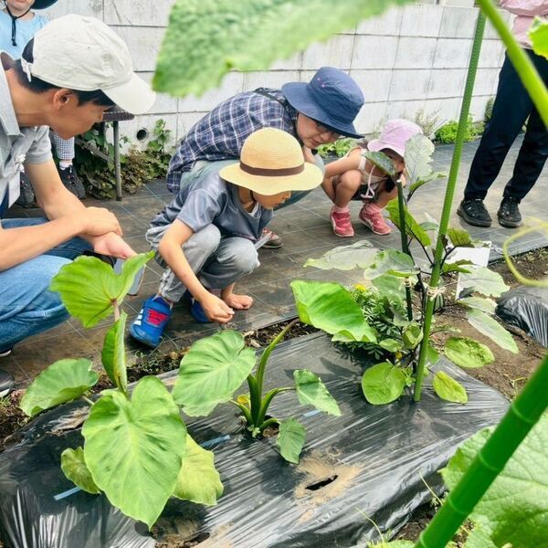 夏休み・共働き家庭の増加で減る「親子の体験時間」子どもの自立と親の見守る力を育てる畑＋料理体験イベント開催