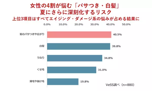 シャンプーブラシ、約6割が「未活用」　頭皮ケア習慣化に余地　VeSS調べ「女性の夏の髪・頭皮ケアに関する実態調査」