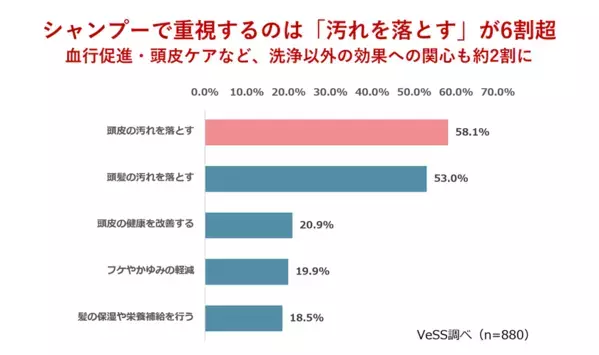 シャンプーブラシ、約6割が「未活用」　頭皮ケア習慣化に余地　VeSS調べ「女性の夏の髪・頭皮ケアに関する実態調査」
