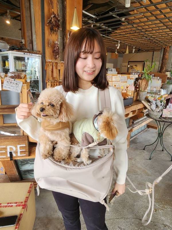 【体験会開催】東大阪の創業80年のモノづくり企業がワンちゃんの“ちょい抱っこ”を叶える新発想バッグを開発