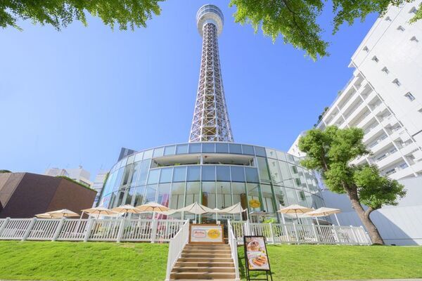 2026年7月1日より、横浜での周遊施策「Peter Rabbit(TM) Summer Celebration in YOKOHAMA」が昨年よりパワーアップして開始！