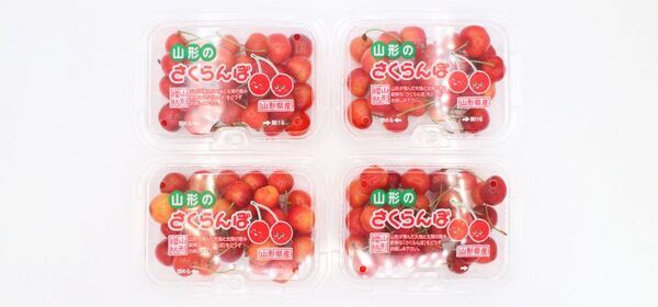日本百貨店が全国の旬を届ける新企画　「産直 とれたて！美味いもの市」を6月20日よりスタート　～第1弾は山形県産の完熟朝摘み「佐藤錦」～