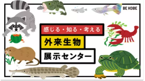 神戸の大学・行政と連携　防災・環境・健康を“体験”で学ぶ、夏の自由研究スクールを開催