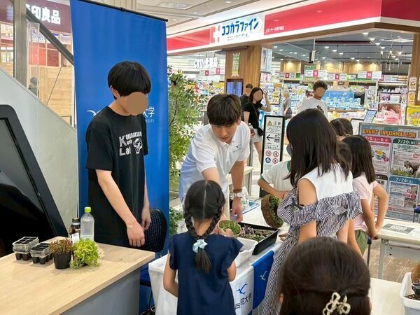 神戸の大学・行政と連携　防災・環境・健康を“体験”で学ぶ、夏の自由研究スクールを開催