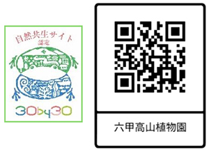 六甲高山植物園 × 伊丹市昆虫館夏イベント 「しょくぶつとむし」 開催決定！