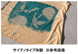 六甲高山植物園 × 伊丹市昆虫館夏イベント 「しょくぶつとむし」 開催決定！