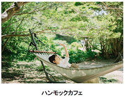 六甲高山植物園 × 伊丹市昆虫館夏イベント 「しょくぶつとむし」 開催決定！