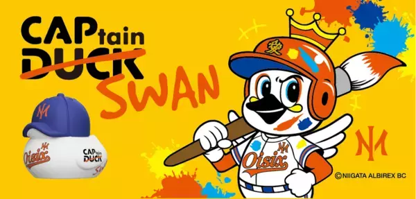 CAPtainDUCK初のスポーツチームコラボ商品　オイシックス新潟アルビレックスBC「CAPtainSWAN」を販売中