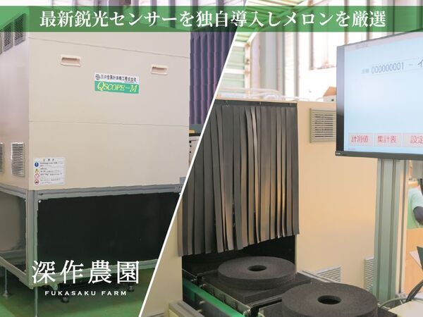 御中元シーズン目前！6月下旬から今が旬のメロンの詰め放題やメロンを贅沢に使用したスイーツを期間限定で提供開始！