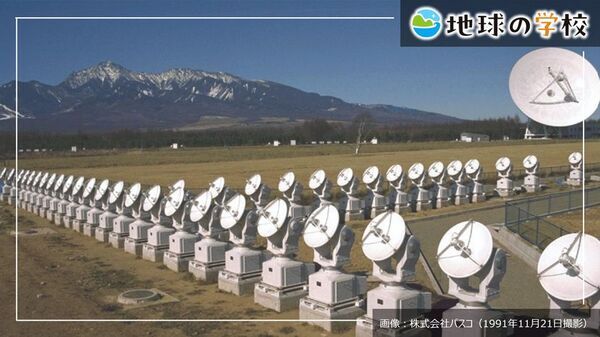 社会課題に向き合うメディア「地球の学校」の最新記事をご紹介　街路樹の課題と解決策を探る学び記事、様々な視点で綴る編集室ブログ11件を公開