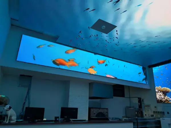 サウナリゾート＆スパ BlueOcean　2026年7月6日(月)グランドオープン