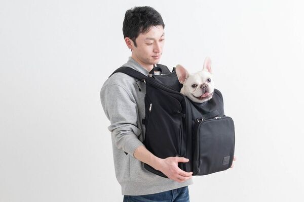 シリーズ累計販売15,000点突破　ペットの猛暑対策「空調と出かけるシリーズ」フルラインアップ完成　インターペットで人気を集めた「空調クールマット」再入荷