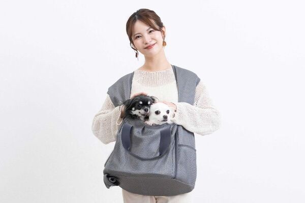 シリーズ累計販売15,000点突破　ペットの猛暑対策「空調と出かけるシリーズ」フルラインアップ完成　インターペットで人気を集めた「空調クールマット」再入荷