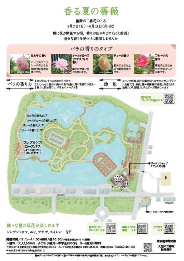 軽井沢レイクガーデンサマーシーズン＆オータムシーズンサマーシーズンは、ユリやスイレン等、夏の草花と、バラの2番花が見ごろを迎えます。