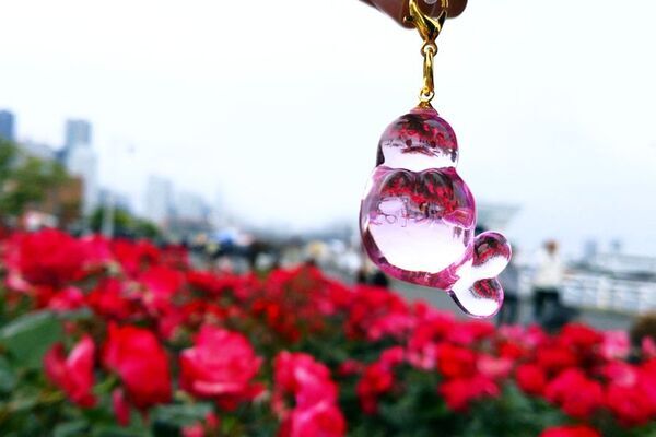 圧倒的透明感！うるちゅるクリアなカプセルトイ「おとぼけアザラシめじるしリング」を発売