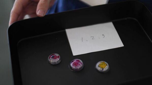 東京工芸大学 芸術学部学生のインタラクティブ作品が島根県立しまね海洋館アクアスの企画展で展示　― 2026年7月4日(土)から9月27日(日) ―