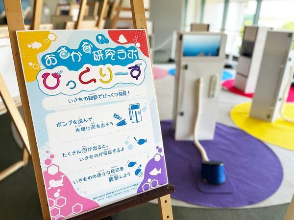 東京工芸大学 芸術学部学生のインタラクティブ作品が島根県立しまね海洋館アクアスの企画展で展示　― 2026年7月4日(土)から9月27日(日) ―