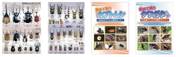 渋谷で昼から夜の昆虫観察！巨大虫カゴで昆虫と触れ合う体験型昆虫イベントの詳細を公開　700体以上の昆虫が集結、夏休みの自由研究もサポート