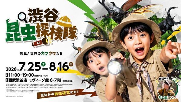 渋谷で昼から夜の昆虫観察！巨大虫カゴで昆虫と触れ合う体験型昆虫イベントの詳細を公開　700体以上の昆虫が集結、夏休みの自由研究もサポート