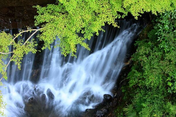 都心よりマイナス5℃。避暑地・奥湯河原で楽しむ極上のステイ　夏季限定のおもてなしとして「YUI CAFE」の提供を開始