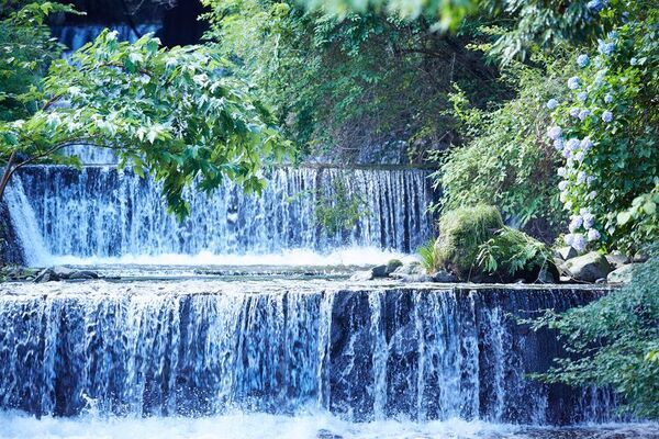 都心よりマイナス5℃。避暑地・奥湯河原で楽しむ極上のステイ　夏季限定のおもてなしとして「YUI CAFE」の提供を開始