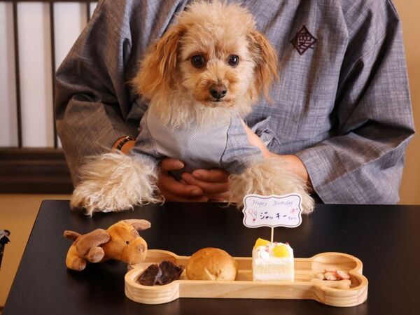 【愛犬と泊まれる古民家リトリート　赤城山 - 懐 - 】夏の味覚を贅沢に味わう会席コースと、愛犬との絆を深める記念日プランが新登場！