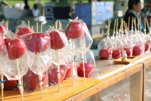 【前年6.8万人来場！】3,000発の大迫力花火と多彩なブースで夏を楽しむ「紀の川橋本SUMMERBALL2026」8月1日(土)開催決定！