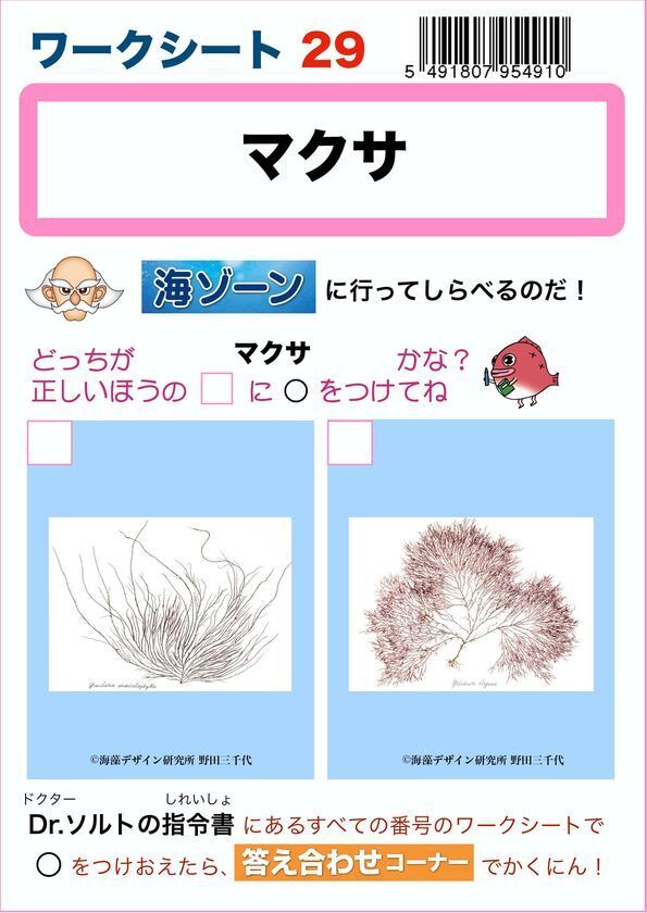 料理に使われた“海のめぐみ”が海の中ではどんな姿をしているのか、調べてみよう！第47回夏休み塩の学習室「さぐってみよう！海のめぐみ2026」たばこと塩の博物館(東京・墨田区)で2026年7月18日(土)～8月23日(日)開催！